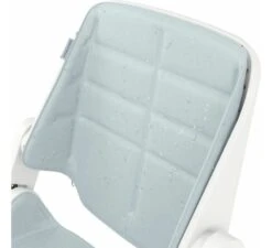 Maxi-Cosi Nesta Kinderstoel Toddler Kit - Beyond Sky Grey -Kinderkamer Verkoopwinkel maxi cosi nesta kinderstoel toddler kit beyond sky grey 2